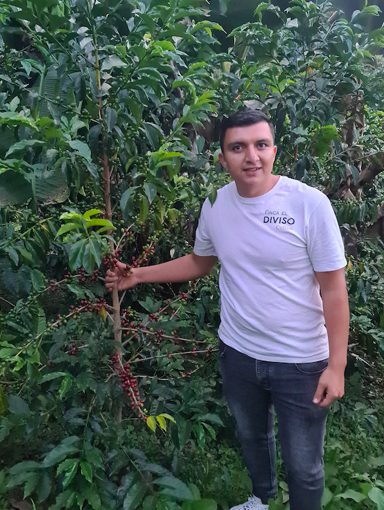 Colombia El Diviso Gesha #2 (Exclusive Lot)