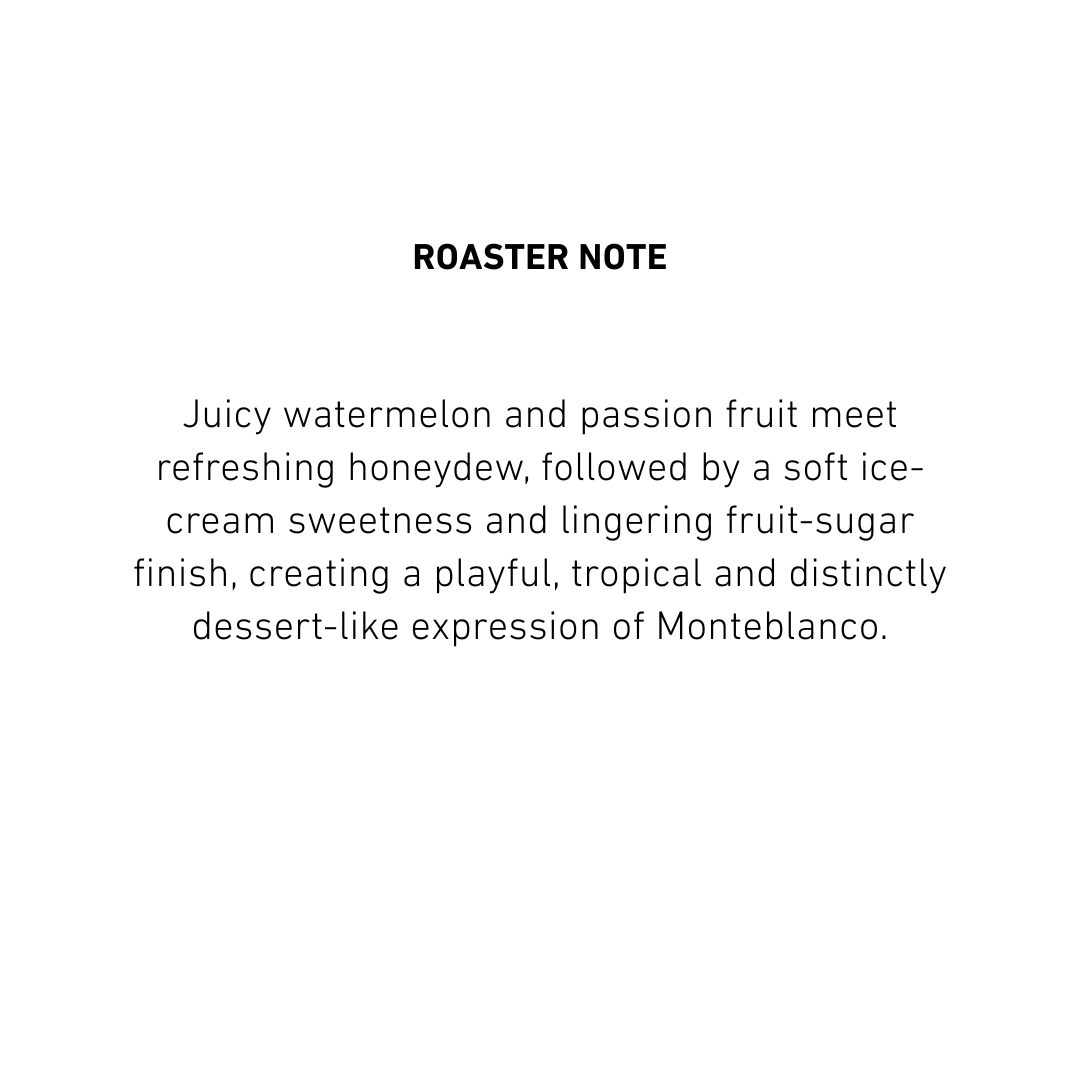 Colombia Monteblanco Watermelon
