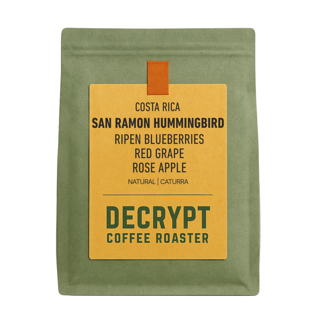 Costa Rica San Ramon Hummingbird