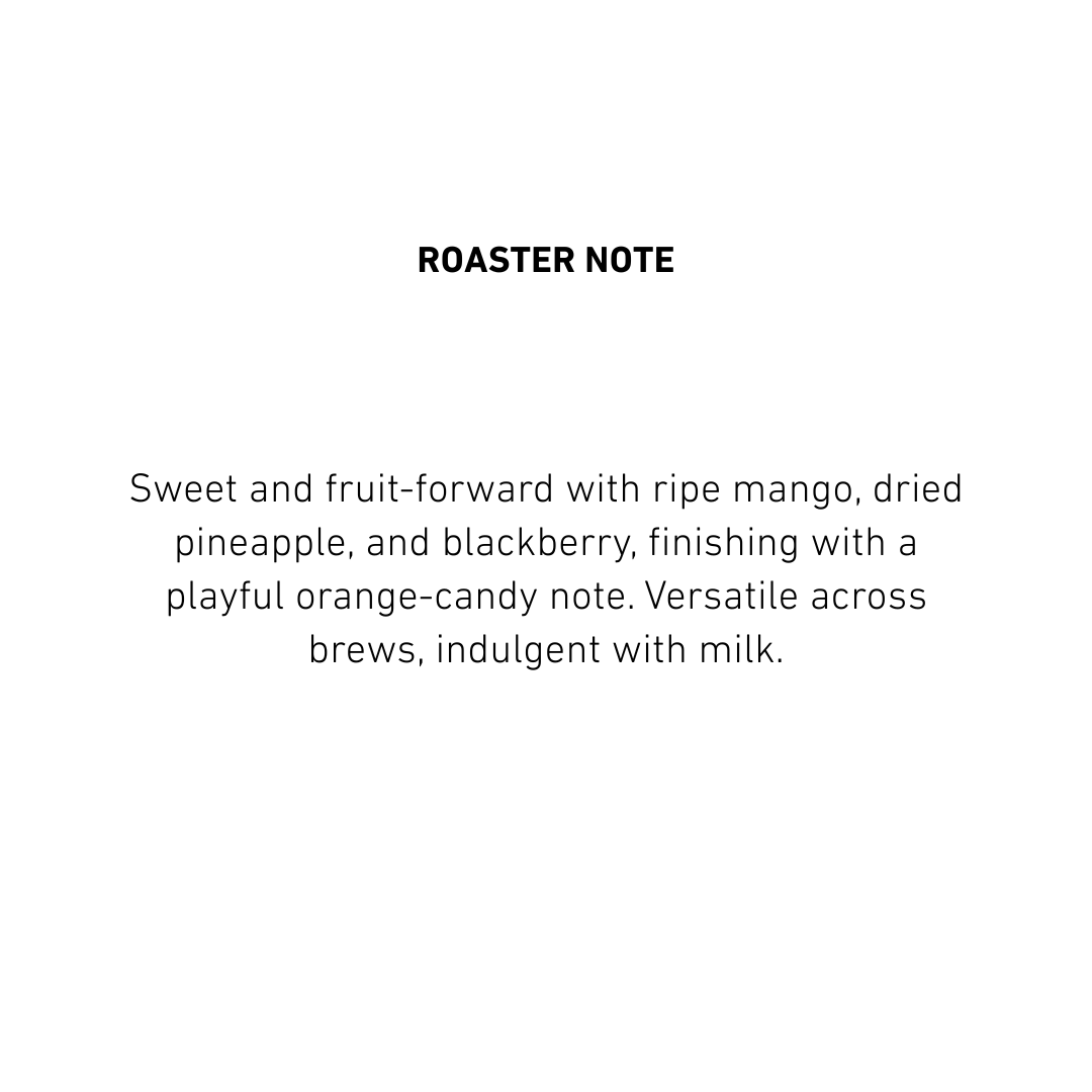 Ethiopia Arbegona Duwancho G1