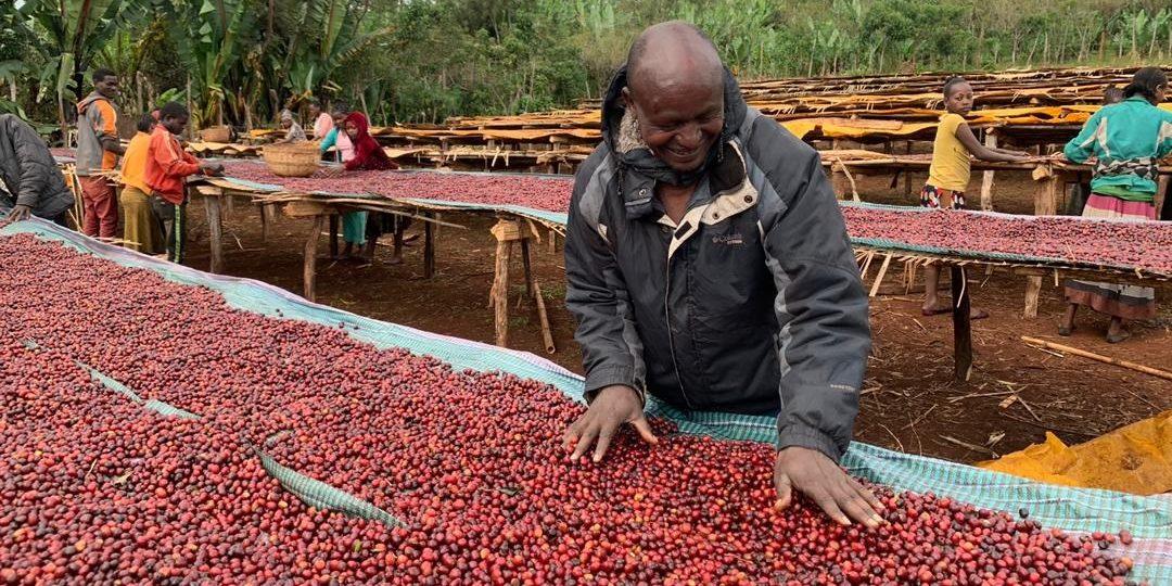 Ethiopia Hambela Buku Abel G1